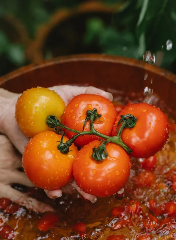 Pexels Tomato Photo 5945657